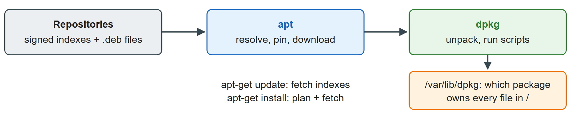 apt resolves and downloads; dpkg unpacks and keeps the record