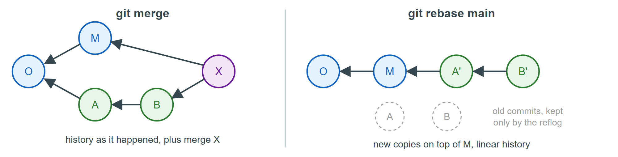 Merging keeps the fork; rebasing replays the branch's commits on the new tip
