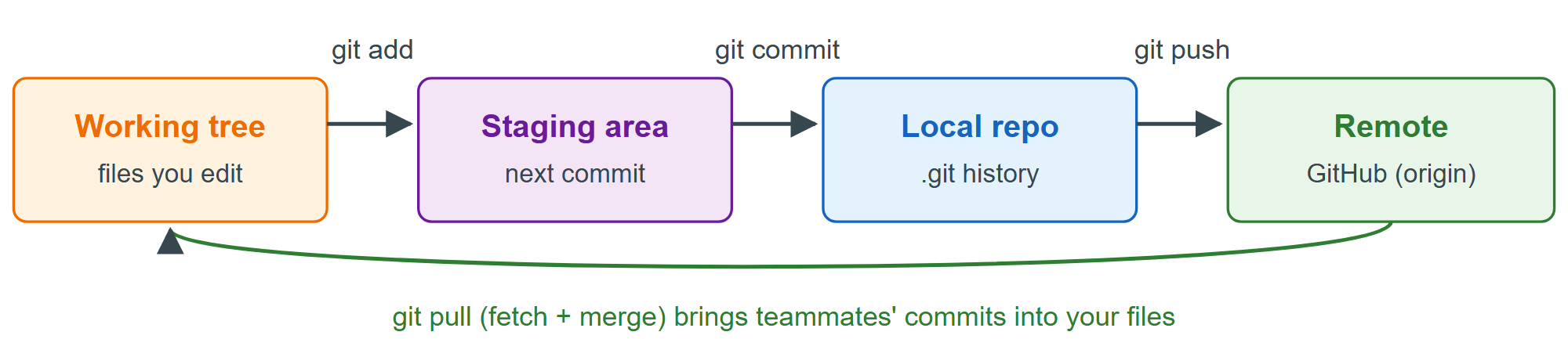 Git's four places: commands move changes from your files to the shared remote and back