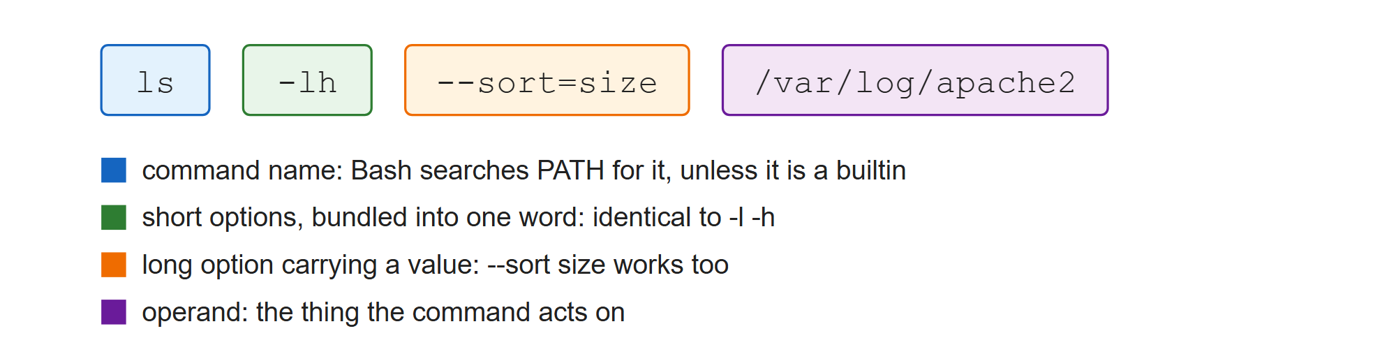 How Bash reads a command line