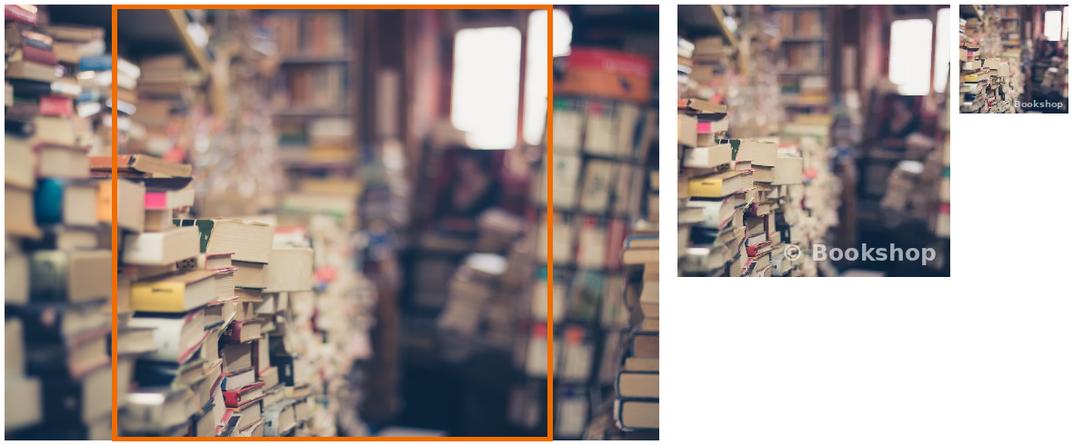 The source photo with its crop square marked, and the 300 px and 120 px thumbnails