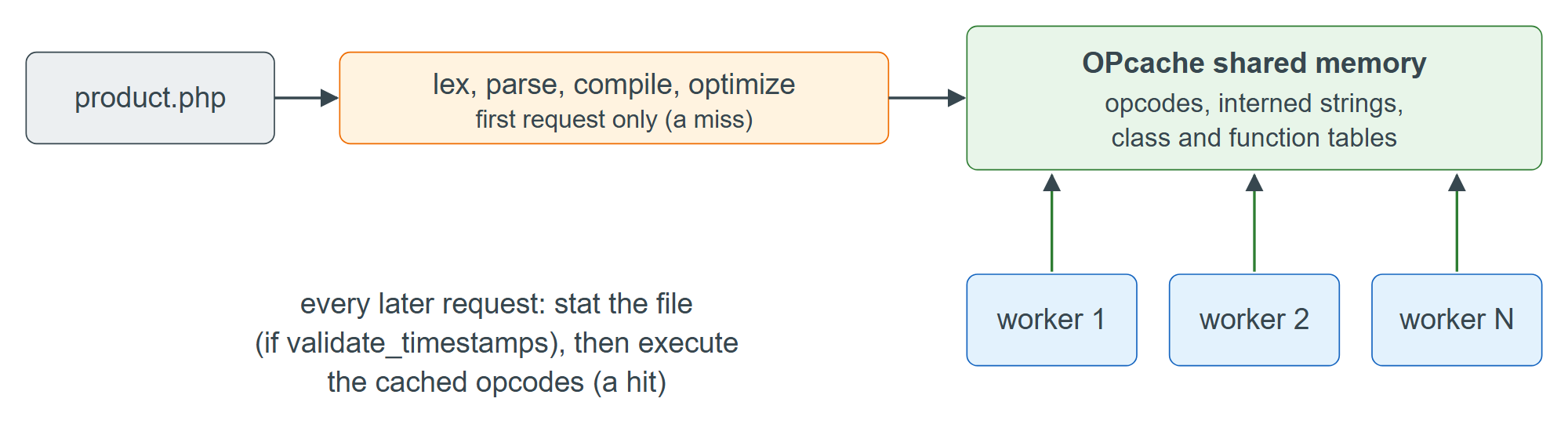 OPcache: one compilation shared by every worker of an FPM master