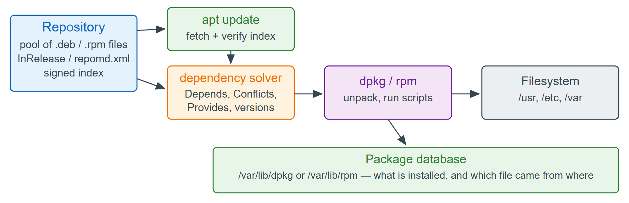 From repository index to installed files: what apt and dpkg each do