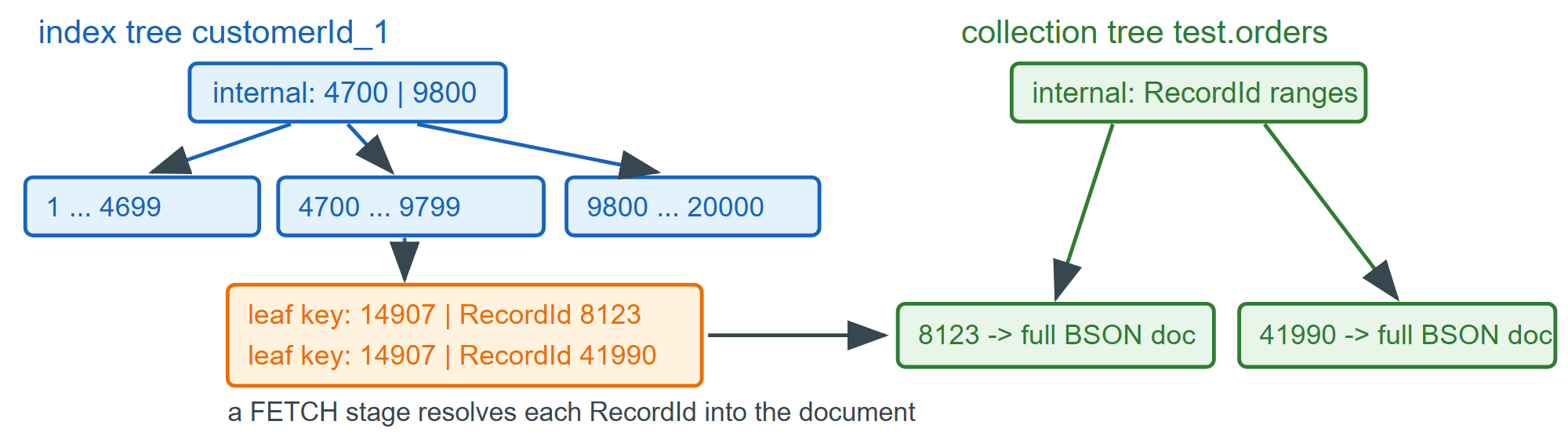 A collection tree and one index tree, each a separate B+ tree in WiredTiger