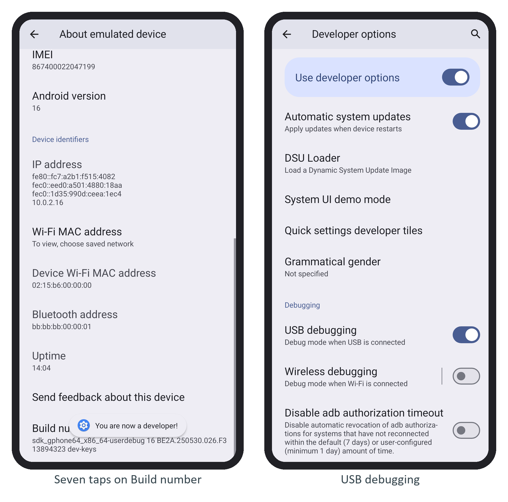 Unlocking Developer options on the emulator, and the USB debugging switch